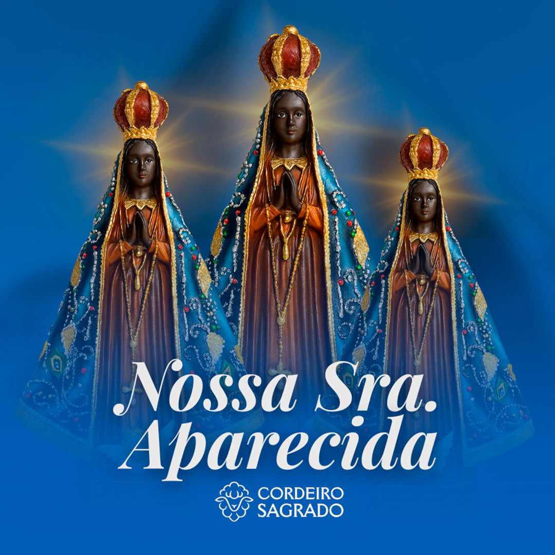 Imagem Nossa Senhora Aparecida